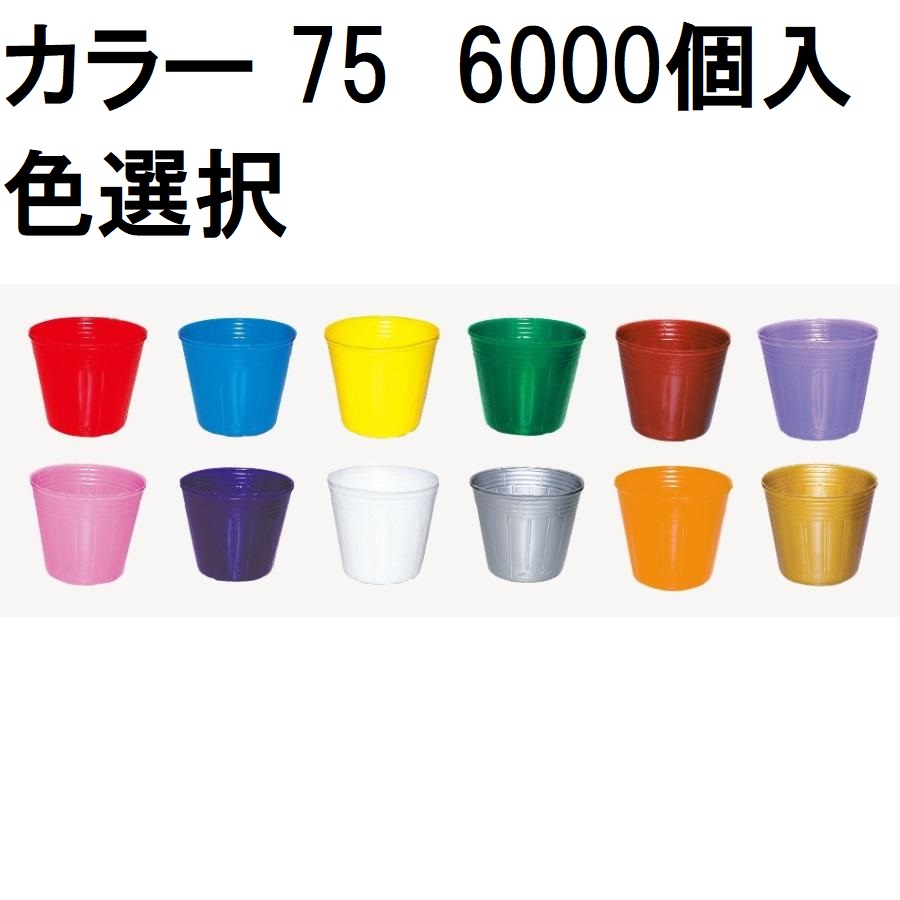 【楽天市場】(徳用5000個入) カラーポット 8cm ポリポット ポリ鉢