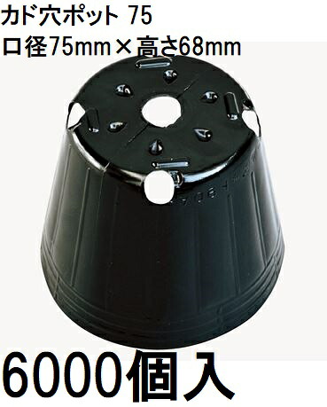(6000個入) ポリポット ポリ鉢 カド穴ポット (加工品) 7.5cm カド穴黒丸 75 カド穴4 底穴1 容積200cc 中部農材 |法人個人選択