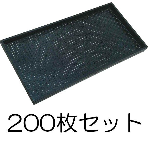 (200枚セット) ナーサリートレイ 黒 穴径4mm×1300穴 水稲用 内寸580×280×29mm ブラック ナーサリートレー ナーセリートレイ (法人個人選択)