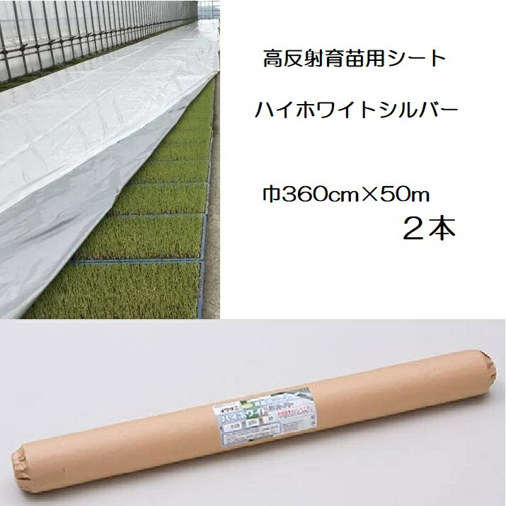 (2本セット) イワタニ 水稲用 ハイホワイトシルバー 厚0.05mm 幅360cm&times;50m 高反射育苗用シート 岩谷マテリアル (法人or運送会社営業所止め)｜瀧商店 43,349円