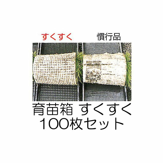 (100枚仕掛ける) 育苗箱 すくすく (中敷き不必要) 軽労化育苗箱  おあて先法人人間別