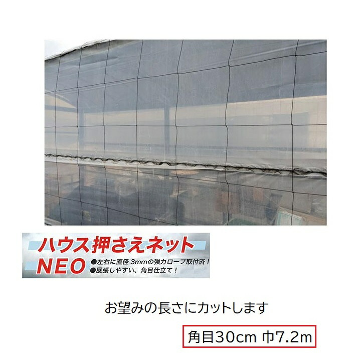 楽天市場】(日本製 強力タイプ) 屋根瓦飛散防止ネット 10m×10m 48畳 100号 (防災 台風 強風 突風 竜巻 防風 対策) : 瀧商店