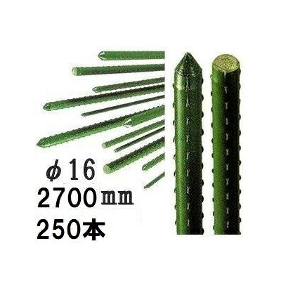 (250本セット特価) セキスイ イボ竹 (プロ仕様 業務用) 農業用支柱 φ16×2700mm日本製 積水樹脂 (法人or営業所引取り 4t車進入可能地域限定) 16×2.7 16mm×2700mm|瀧商店