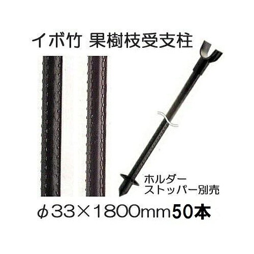(50本セット特価) セキスイ イボ竹 (プロ仕様 業務用) 農業用支柱 (黒) φ33.2×1800mm 日本製 積水樹脂 (法人個人選択) 33.2mm×1.8m 33×1800mm 33mm×1.8m
