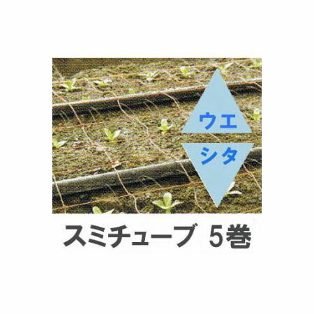 (5巻セット特価) 灌水チューブ スミチューブ ウエシタ 200ｍ巻×5 住化農業資材 WB1033 (個人宅へは取寄発送)
