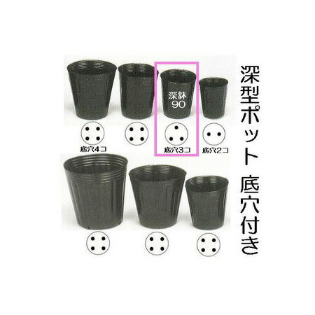楽天市場】(徳用600個) ポリポット ポリ鉢 深型ポット 18cm 深鉢 180
