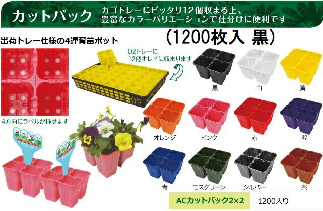 (1200枚入) 取りすてる容器に並べる 黒 (AC取りすてる容器に並べる 2×2) 縦11cm×横12cm×高さ7.5糎 アンドウケミカル (法人/人間 選りすぐる)