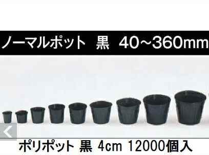 (12000個入特価) ポリポット 4cm (ノーマルポット) ポリ鉢 丸型ポット 黒丸 40 底穴1 口径40mm×高さ44mm 日本ポリ鉢販売