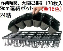 (170枚入) カラー連結ポット ポリポット 24結 AC-90-24 (9cm) (全16色 色選択) 育苗ポット アンドウケミカル (法人/個人 選択)