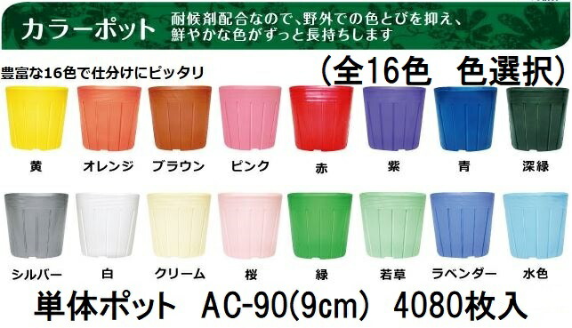 専用　ポット発送❤️セール❤️1051⭐️色変化⭐️唯一無二【グリーンリップカラー】 pot7.jpg