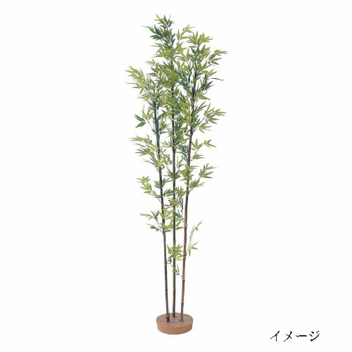 【室内用】グリーンデコ 和風竹 ハチク3本立 鉢無 1.8ｍ(GD-21L 21559100)［隼演芸会 園芸装置 エクステリア 農機具 瀧バス発着場]