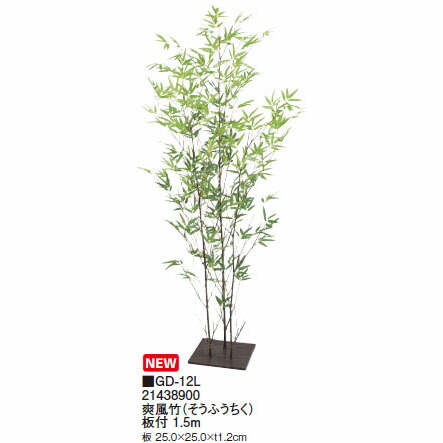 室内費用 グリーンデコ笹 爽風タケ 迚もふうちく 厚板ツキ 1 5m Gd 12l 鷹興行 園芸道具 エクステリア 農機具 飛泉百貨店 Newbyresnursery Com