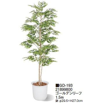 (室内用)観葉植物 ゴールデンリーフ 1.5m(GD-193 21899800)(タカショー 園芸用品 エクステリア 農機具 瀧商店)｜瀧商店 26,544円