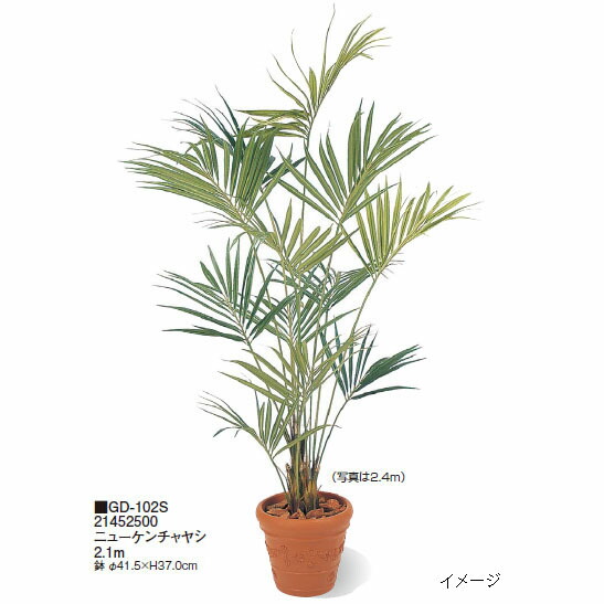 【室内用】グリーンデコ鉢付 ニューケンチャヤシ 2.1m(GD-102S 21452500) ［タカショー 園芸用品 エクステリア 農機具 瀧商店]