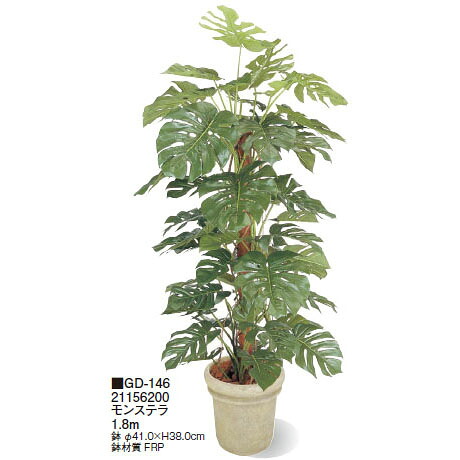 (室内用)観葉植物 グリーンデコ鉢付 モンステラ 1.8m(GD-146 21156200)(タカショー 園芸用品 エクステリア 農機具 瀧商店)｜瀧商店