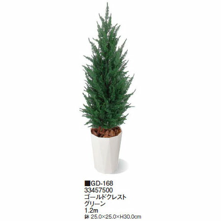 室内用 観葉植物 グリーンデコ鉢付 ゴールドクレスト グリーン 1 2m Gd 168 タカショー 園芸用品 エクステリア 農機具 瀧商店 Smederij Oisterwijk Nl