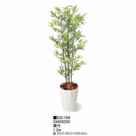 楽天市場】【室内用】観葉植物 アオキ鉢付 1.5m(GD-130 21573700