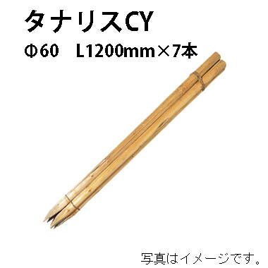 共有工事用杭 タナ栗鼠CY φ60粍 4尺(L1200粍)×7本56163600 KYS-46T［鷹見せ物 瀧バス発着場]