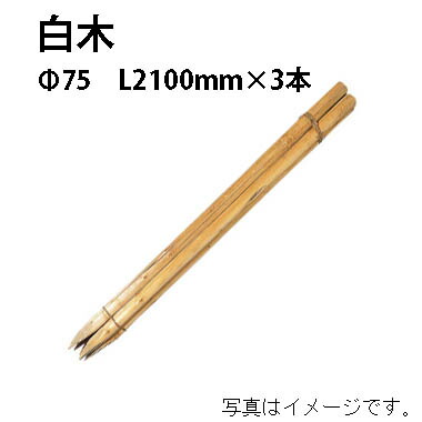 公共工事用杭 白木 φ75mm 7尺(L2100mm)×3本56182700 KYS-77［タカショー 瀧商店]