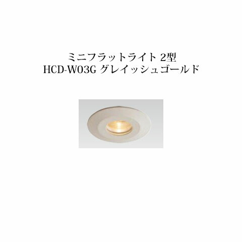 エクスレッズ ライティング 12Vミニフラットライト 2型(グレイッシュゴールド)(71612800 HCD-D03G) 電球色(タカショー エクステリア 庭造り DIY)
