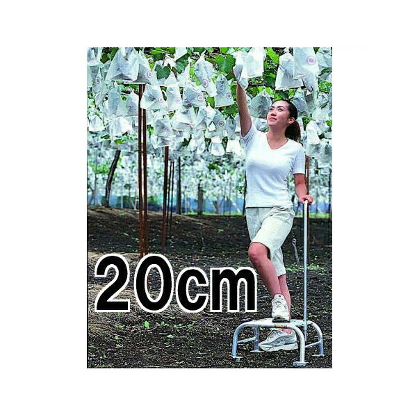 (個人宅配送OK) ハラックス フミラック FL-20 アルミ製 踏台 高さ20cm 重量1.18kg　zm