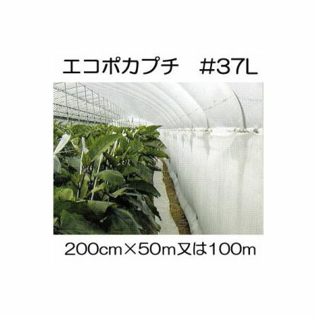 (個人様配送不可) ハウス保温内張り材 エコポカプチ #d37L 耐候性 幅200cm (長さ50ｍを2巻 or 100ｍを1巻 選択) 川上産業