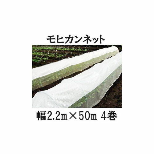 楽天市場】夏のトンネル栽培 モヒカンネット 幅2.2m×長さ50m 1巻 : 瀧商店