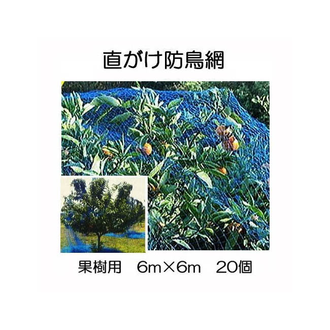 ネット　９ｍ×９ｍ imgrc0114201143.jpg