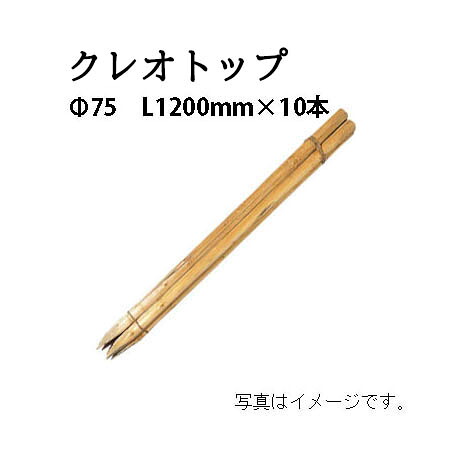 公共工事用杭 クレオトップ φ75mm 4尺(L1200mm)×10本 56232900 KYS-47K［タカショー 瀧商店]