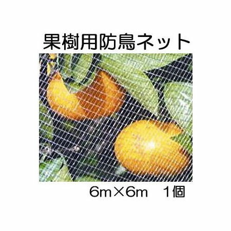 楽天市場】果樹用 直がけ防鳥網 1000d 20mm目 6ｍ×6ｍ 1個 強力防鳥網【果樹すっぽり防鳥ネット】zmzs : 瀧商店