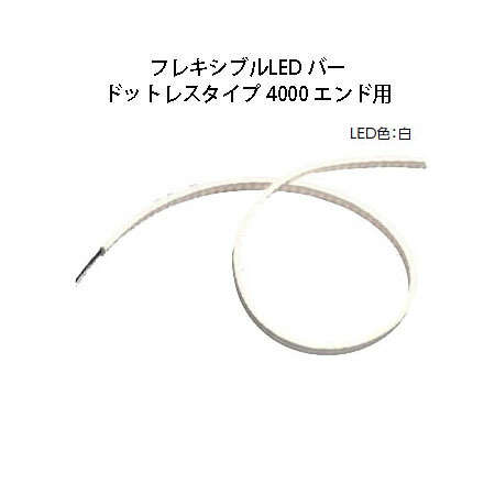室外用部材ともし火 12V軟らかいLED 赤ちょうちん ドットレスタイプ 4000 挙げ句の果て用(HAC-W30T 75824100 白いこと)(鷹見せ物 エクステリア 庭からだ付き DIY)