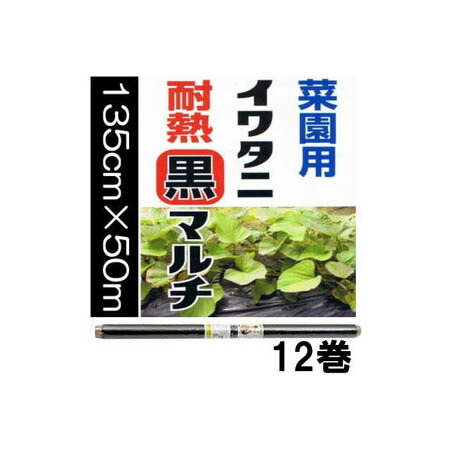 (法人or営業所引取 12巻セット) イワタニ 菜園用 耐熱 黒マルチ 0.02mm×135cm×50m 岩谷マテリアル