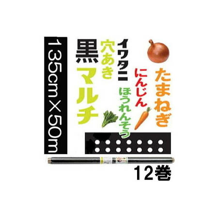 (徳用ケース特価 12巻セット) イワタニ 菜園 たまねぎ用 穴あき 黒マルチ 玉ねぎ黒マルチ 0.02mm×135cm×50m (5列穴) 3515 45mm孔 岩谷マテリアル (法人or運送会社営業所引取) 15,403円