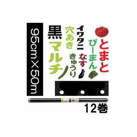 【楽天市場】イワタニ 菜園 たまねぎ用 穴あき黒マルチ 玉ねぎ黒