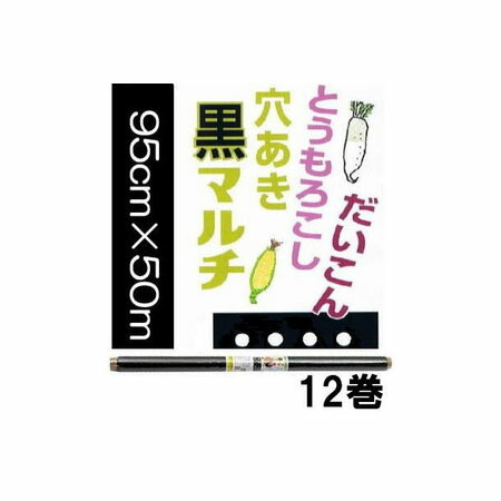 【楽天市場】イワタニ 菜園 たまねぎ用 穴あき黒マルチ 玉ねぎ黒