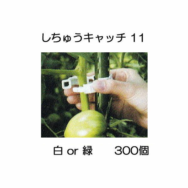 楽天市場】ペリカンキャッチ PC-R500 1ケース(5000個入) 誘引資材 キュウリ等のつる性植物の誘引に 吊り下げ資材 シーム : 瀧商店