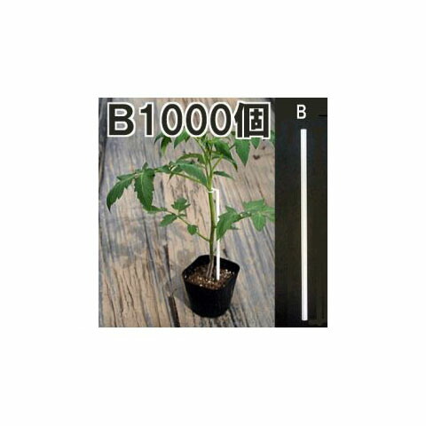 楽天市場 たちんぼ T 110p たちんぼスティック St 210 セット 1000組 ナスニックス幼苗支え棒セット 誘引資材 誘引具 園芸用品 農機具 瀧商店 瀧商店