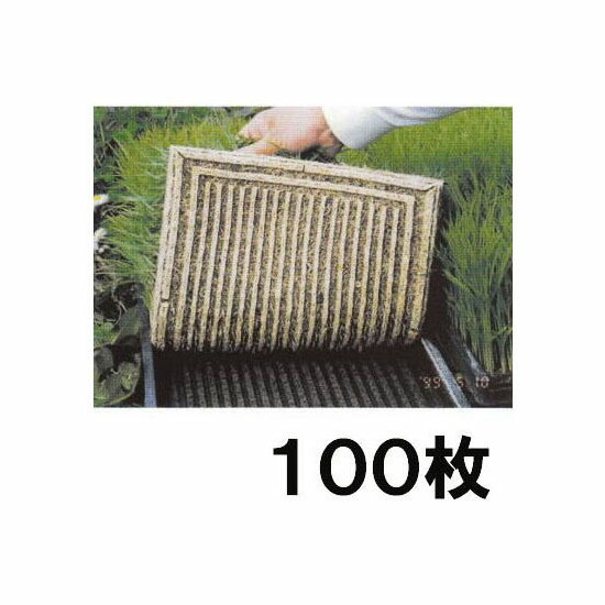 楽天市場】(40個セット) 日本製 育苗箱 クリスタルカット 水稲用 安全