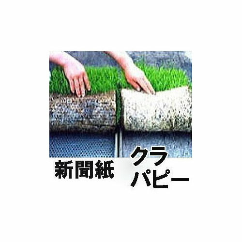 楽天市場】(1000枚セット) ニッテン 育苗用下敷紙 エコパピーII