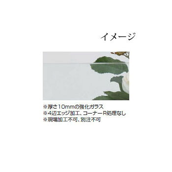 ビュースルー フェンス ビュースルー クリアガラス 溝付柱用 (62393800 クリア W1200×H1200) ［格子 タカショー 庭用 瀧商店]