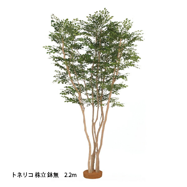 圧倒的人気 本日発送  【M2170KK2B16】 限定デザイン