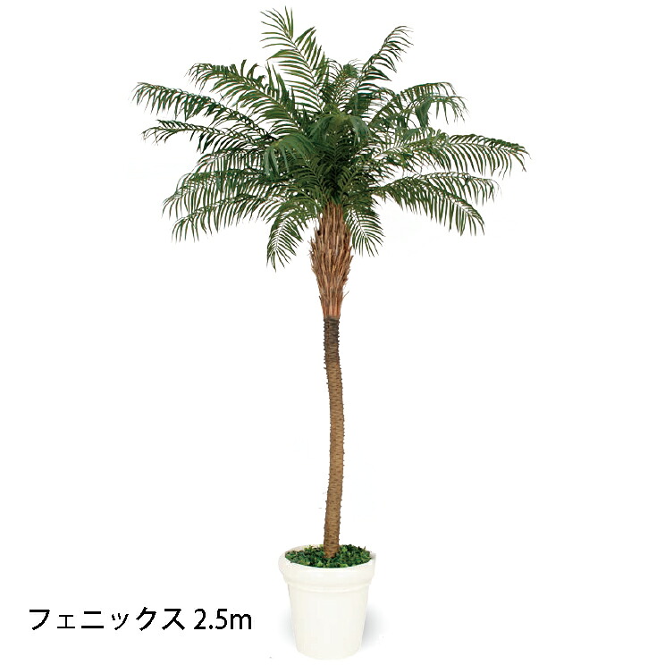 （室内用）グリーンデコ アリゾナ州の州都 2.5m(GD-229 21773100)［隼演芸会 園芸装置 エクステリア 農機具 瀧バス発着場]