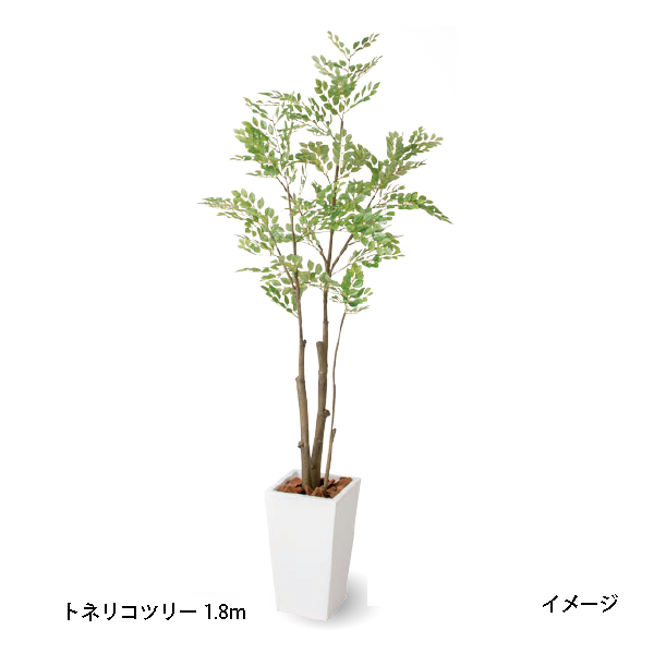 室内用 人工観葉植物 園芸用品 トネリコツリー 1 8m Gd 232 タカショー 園芸用品 タカショー ガーデンオーナメント 置物 エクステリア エクステリア ガーデンファニチャー 農機具 パーティを彩るご馳走や 農機具 瀧商店 瀧商店人工観葉植物