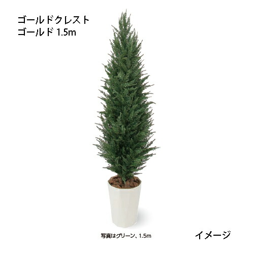 （室内用）人工草木 ゴールドクレスト ゴールド 1.5m(GD-188L 33436000)［隼演芸会 園芸備品 エクステリア 農機具 瀧バス発着場]