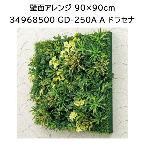 隼演芸会 \u003cBR\u003e (室内用) (ひな形なし手合い) 壁面取りあわせる \u003cBR\u003e90×90珊 (A ドラセナ GD-250A 34968500)