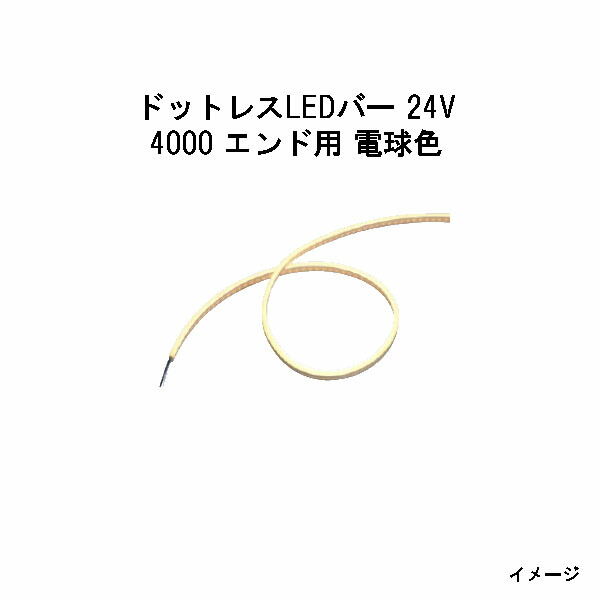 点点受け答えLED赤ちょうちん 24V専用4000 挙げ句の果て用 白熱電球色 (HAC-D64T 70589400)(鷹見せ物 エクステリア 庭からだ付き DIY)