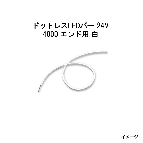 点点受け答えLED赤ちょうちん 24V専用4000 挙げ句の果て用 白 (HAC-W64T 70591700)(鷹見せ物 エクステリア 庭からだ付き DIY)