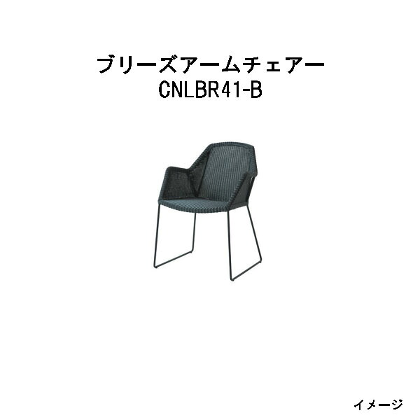 隼演芸会 ブリーズアームチェアー(CNLBR41-B 32635800)黒いこと (エクステリア ガーデンファニチャー 瀧バス発着場)
