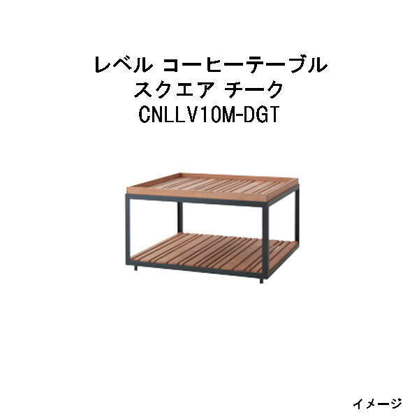 タカショー レベル コーヒーテーブル　スクエア チーク (CNLLV10M-DGT 32881900 ラバグレー)　組立式 (エクステリア ガーデンファニチャー 瀧商店)