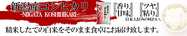 楽天市場】【新潟産】 新潟米 格安 生活応援米 25kg (5kg×5袋) コスパ重視 業務用 未検査米 安くてうまい!!!  食べ盛りの子供家庭におすすめ : 滝沢米穀店